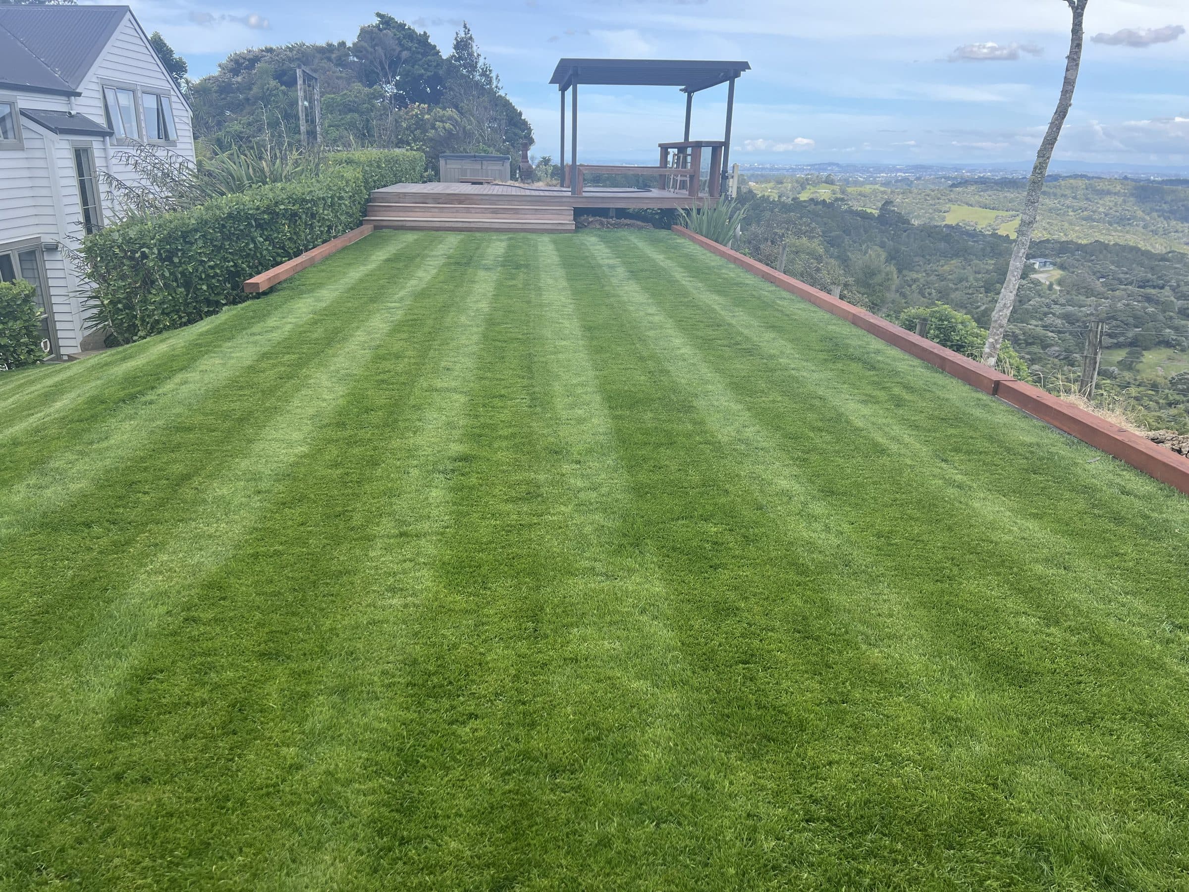 Freshly striped lawn leading to a deck and pergola with views over the Auckland hills